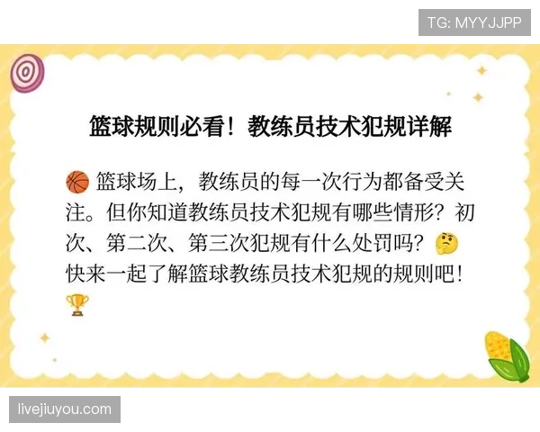 全面解析教练技术犯规规则的判定标准与细节